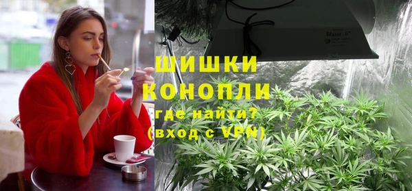 apvp Богородицк