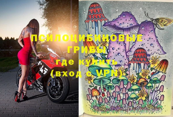 apvp Богородицк