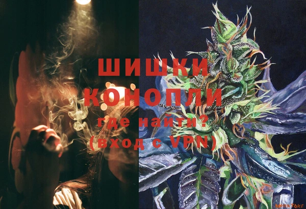 ГАЛЛЮЦИНОГЕННЫЕ ГРИБЫ Богородск