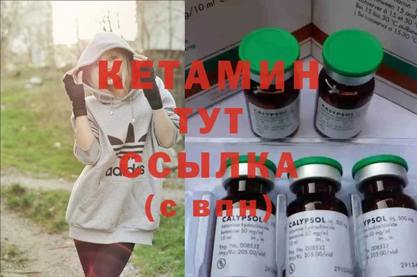 гашик Богданович