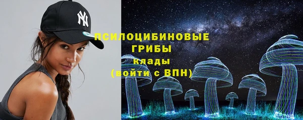 ГАЛЛЮЦИНОГЕННЫЕ ГРИБЫ Богородск