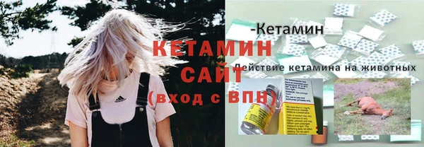 ГАЛЛЮЦИНОГЕННЫЕ ГРИБЫ Богородск