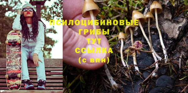 дживик Беломорск