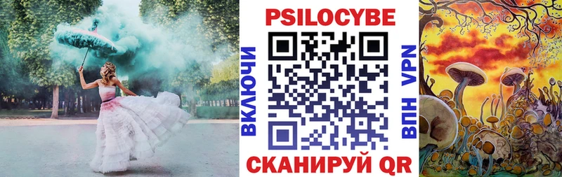 hydra как войти  Буйнакск  Галлюциногенные грибы Psilocybe  как найти  